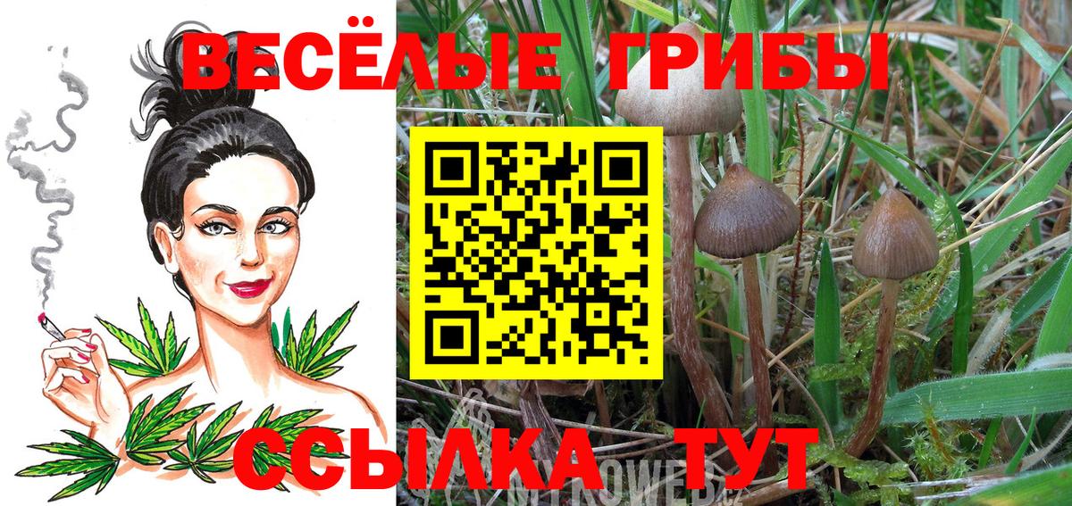 Псков  Галлюциногенные грибы ЛСД  Вход с VPN 
